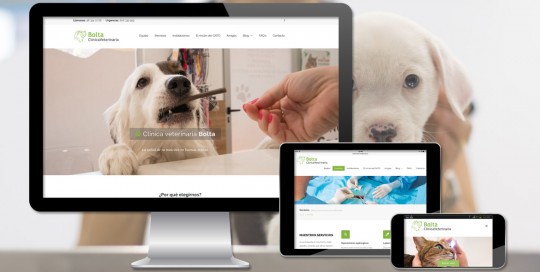 Web corporativa Clínica veterinaria Bolta