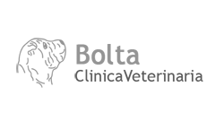 Clínica veterinaria Bolta