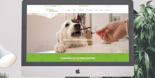 Clínica veterinaria Bolta