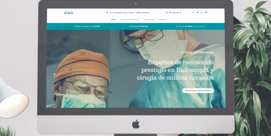 web clínica veterinaria ayora